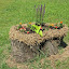 eatsts's Stump garden
