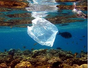[092D4CTGP1_1 Delito ambiental[2].jpg]
