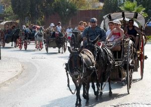 [007D3MURP1_1 carros[2].jpg]
