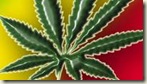 19bb6c3fe2 - A Dios rogando....Detenido un capell�n por marihuana