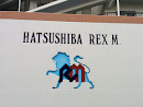 Hatsushiba Rex M.