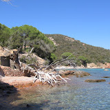 Corse