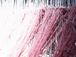 PICT0016.JPG