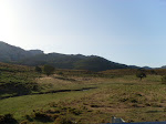 SL380454.JPG