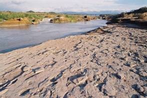 [clip_image031[3].jpg]