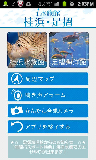 i 水族館 桂浜・足摺