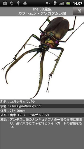 【免費書籍App】The 3D昆虫／カブトムシ・クワガタムシ編-APP點子