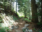Trail