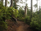 Trail