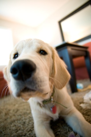 [20080807_7[4].jpg]
