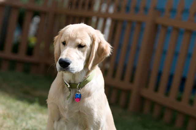 [20080807_143[3].jpg]