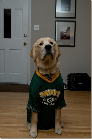 PackerFan