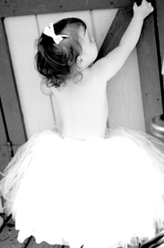 [DSC_0170-1.jpg]