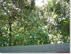 DSC00793