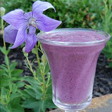 Blueberry Smoothie