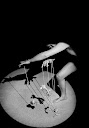 Roger C