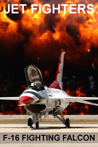 F-16 Fighting Falcon FREE