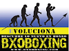 Equipamiento Para Boxeo