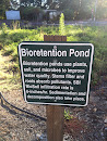 Bioretention Pond at the Santa Rosa Admin Center