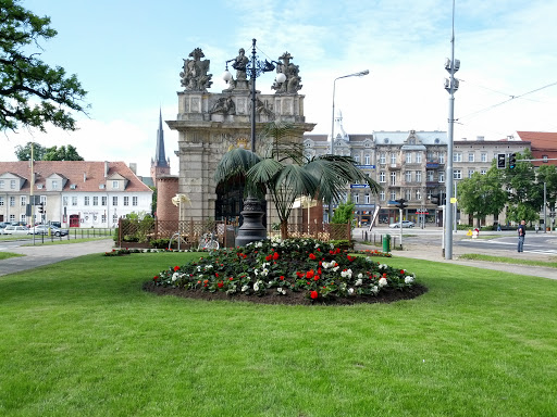 Palm Tree In Szczecin 