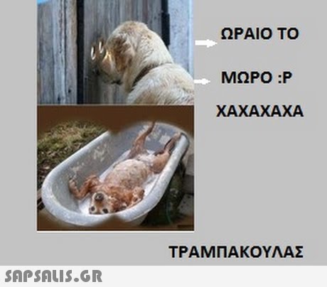 ΩΡΑΙΟ ΤΟ ΜΩΡΟ :P ΧΑΧΑΧΑΧΑ ΤΡΑΜΠΑΚΟΥΛΑΣ 