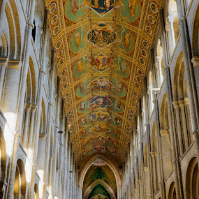 The Ceiling of Ely Cathedral. by Stefen Dicks - Architecture & Design Interior ( ceiling, cathedral, medieval, painting, design )