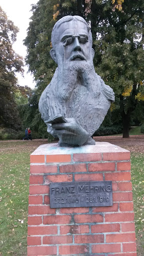 Franz Mehring