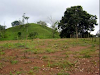 Vendo Hermosa Finca En Ciudad Colon