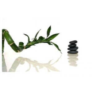 Parapharmacie Mourrin.apk 1.0