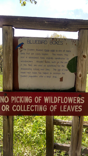 Bluebird Boxes Sign