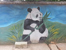 Hungry Panda Wall Art