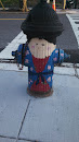 Painted Fire Hydrant 