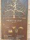Project Re-Leaf