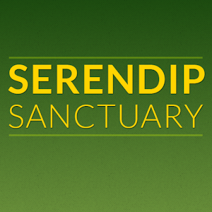 Serendip Sanctuary.apk 6.6.14.9.9