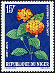 Lantana camara