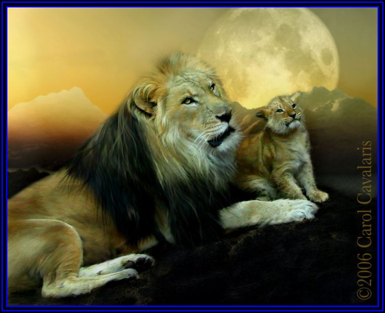 20life.jpg, life, lion, lions