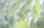 clip_image006