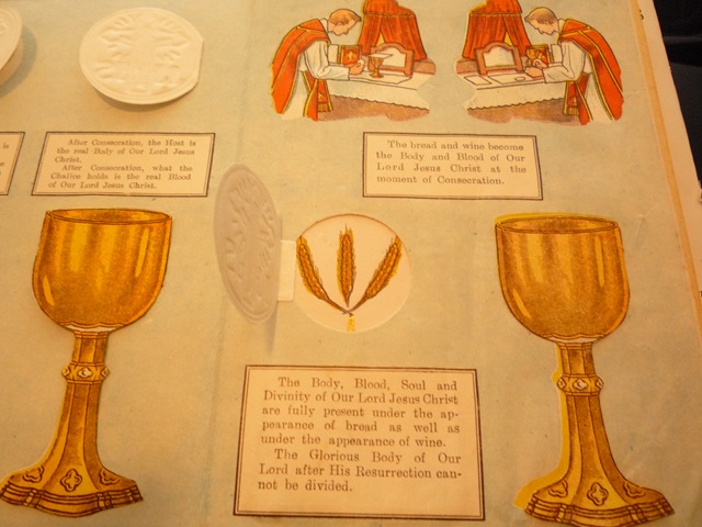 [P1020075[2].jpg]