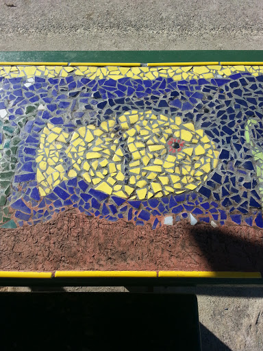 Fish Mosaic Manning Park