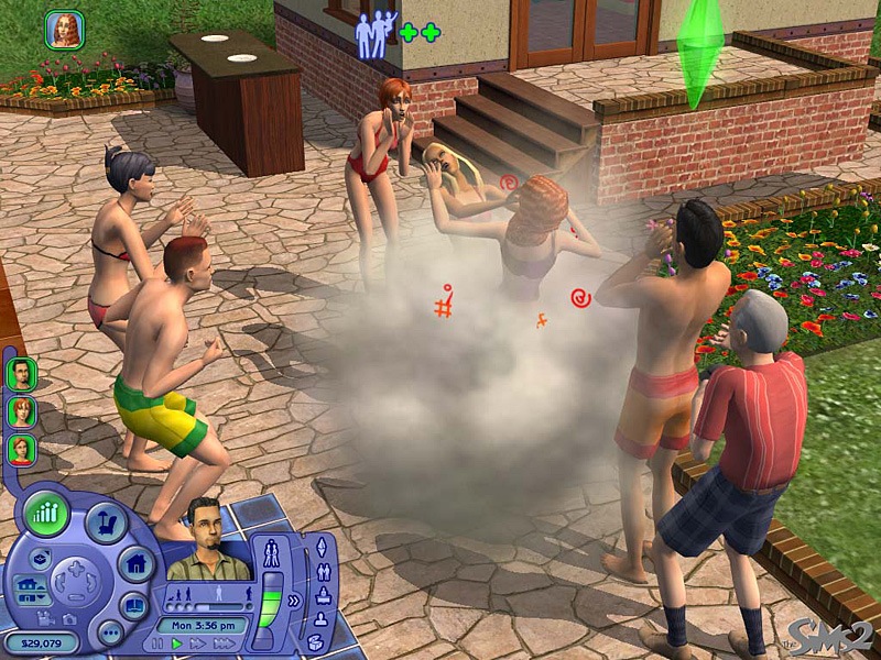 [sims213.jpg]