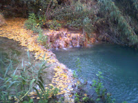 Un tratto di cascate (autunno)