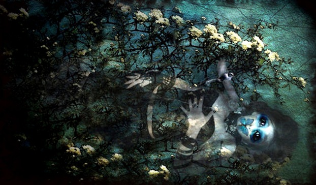 Sleeping_Butterfly_by_GoneWithWind