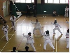 tkdblackbelt 042