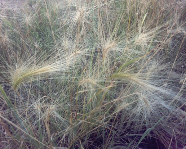 [Pictur14504.jpg]