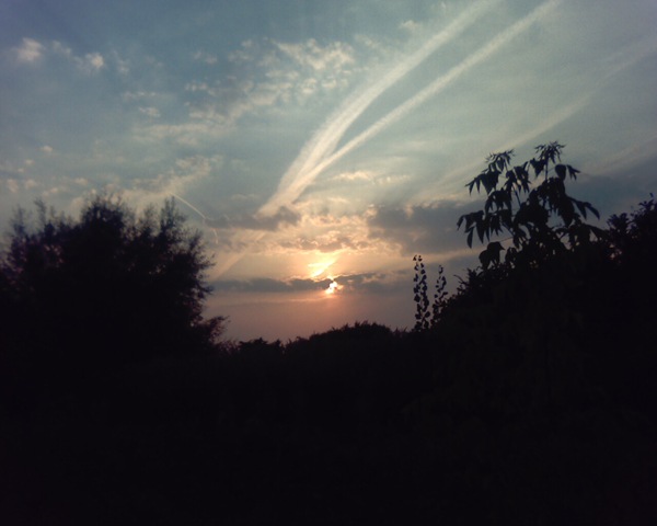 [Pictur14583.jpg]