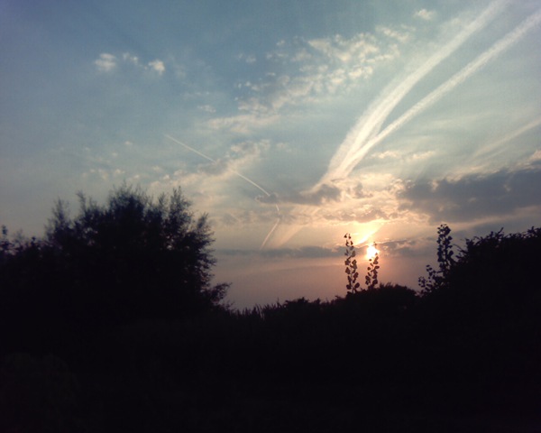 [Pictur14594.jpg]