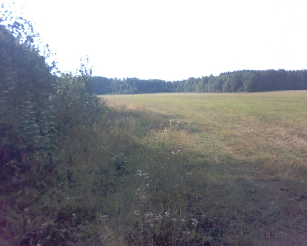 [Pictur15474.jpg]