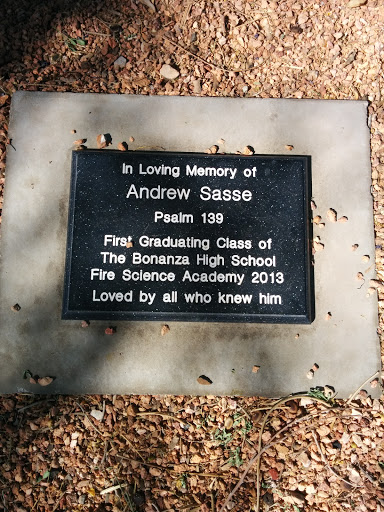 In Loving Memory of Andrew Sasse