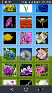 How to download Flowers Collection lastet apk for bluestacks