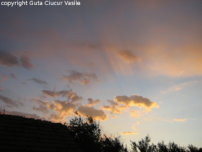 beautiful sun rays 01
